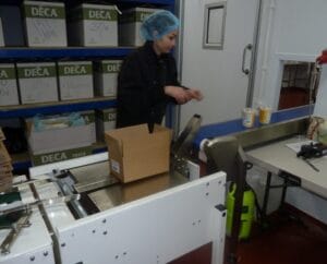 Person Packing Boxes In Storage Area.